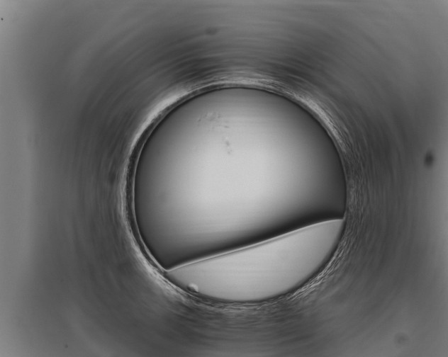 X0000096141139200801180846