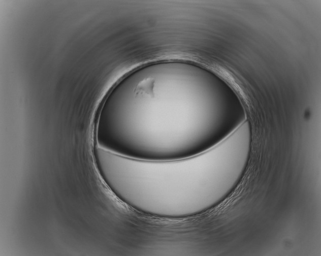 X0000096141140200801180846