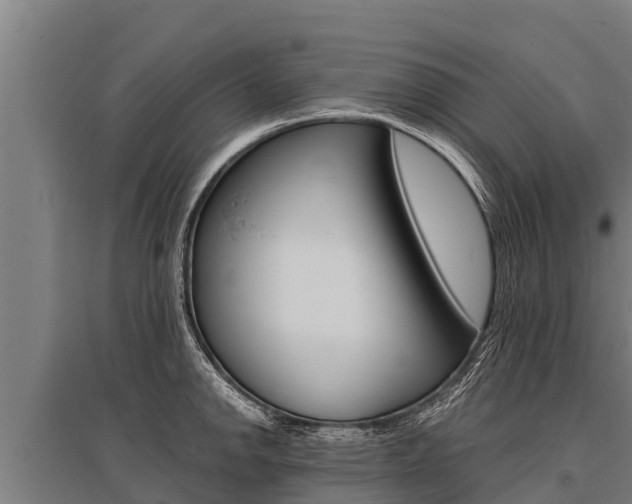X0000096141142200801180846