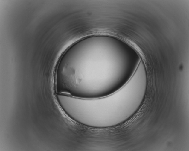 X0000096141144200801180846