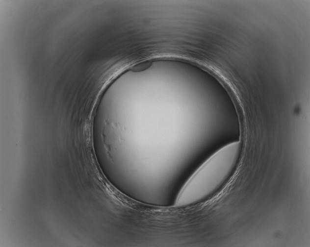 X0000096141145200801180846