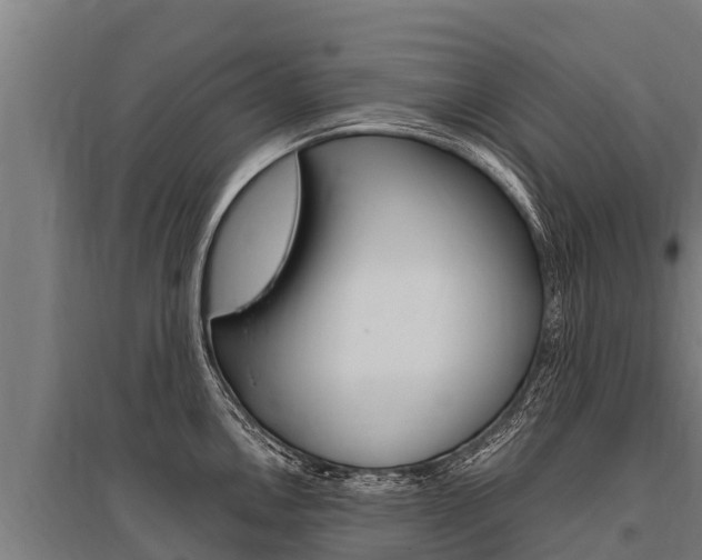 X0000096141146200801180846