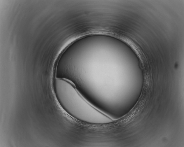 X0000096141147200801180846