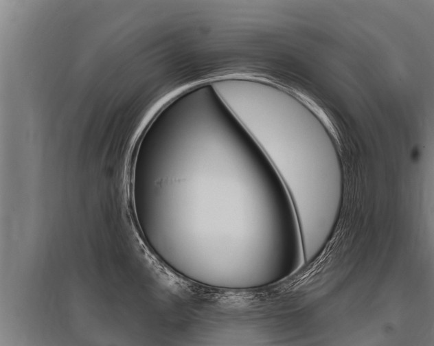 X0000096141148200801180846
