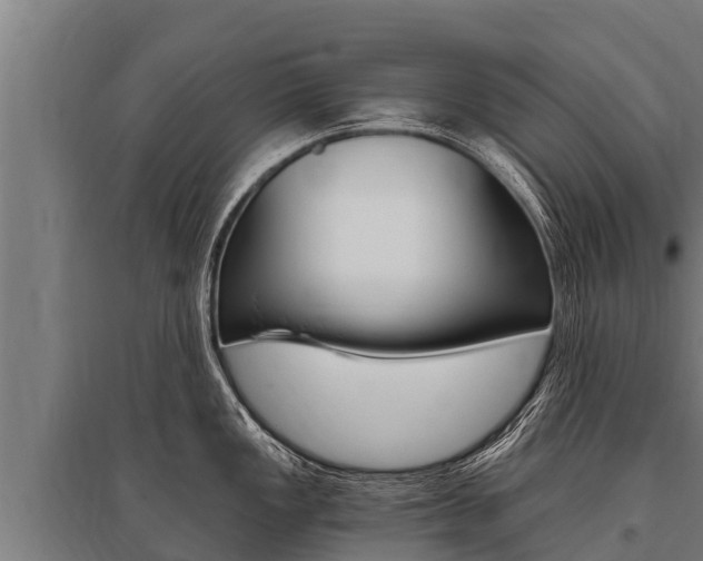 X0000096141149200801180846