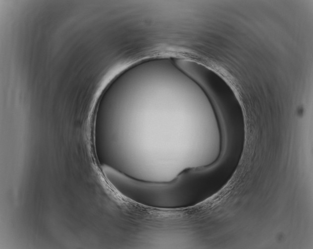 X0000096141152200801180846