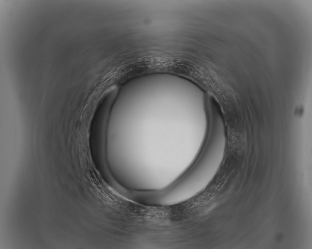 X0000096141153200801180845