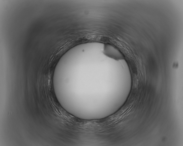 X0000096141154200801180845