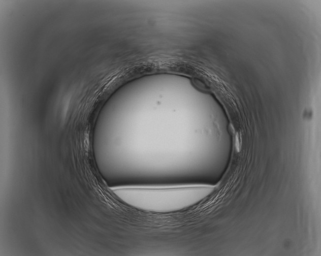X0000096141155200801180845