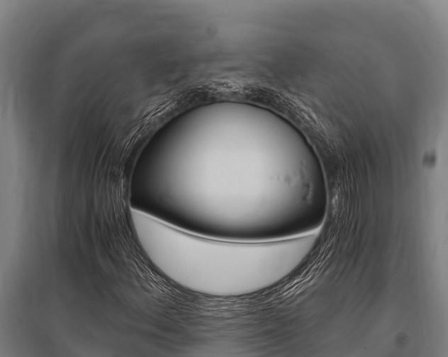 X0000096141156200801180845
