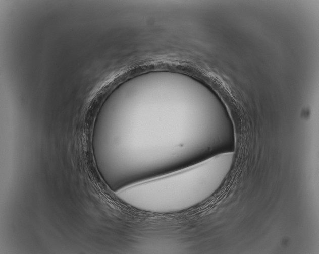 X0000096141159200801180845