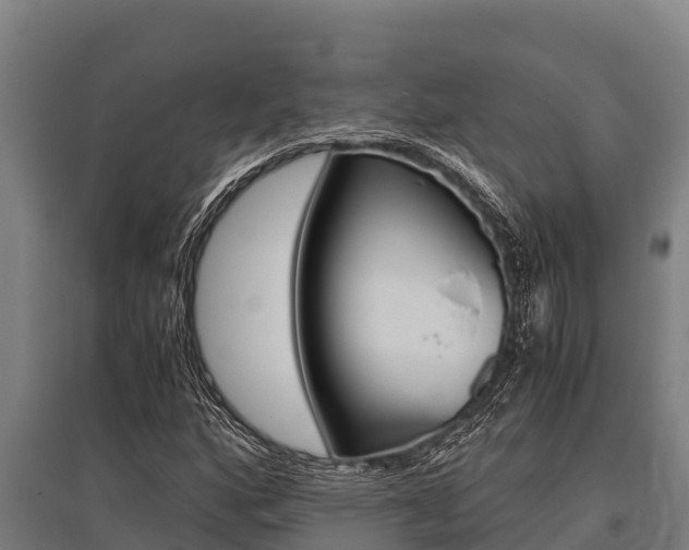 X0000096141160200801180845