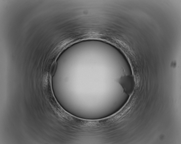 X0000096141161200801180845