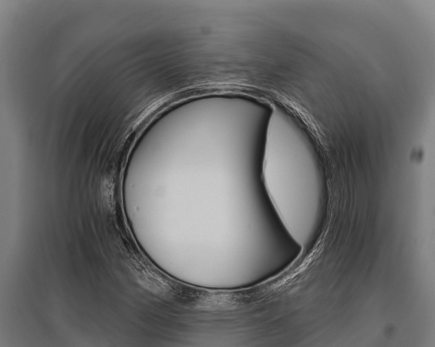 X0000096141162200801180845