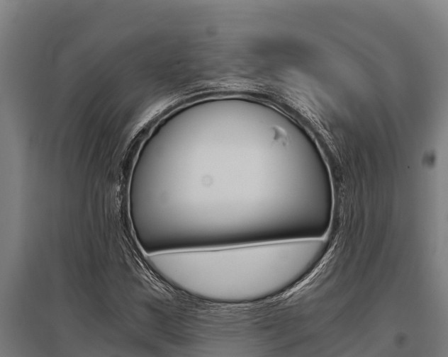 X0000096141163200801180845