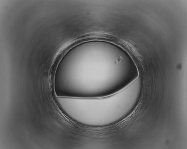 X0000096141164200801180845