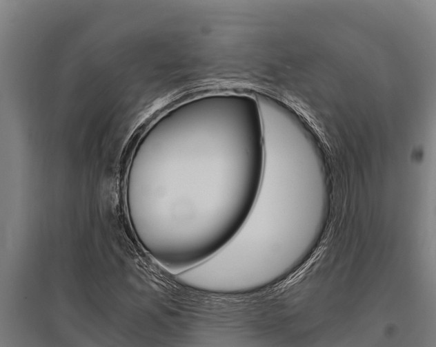 X0000096141165200801180845