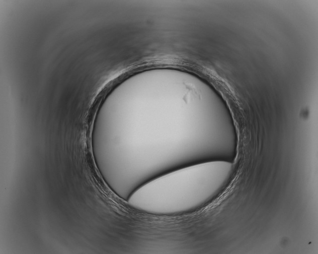 X0000096141166200801180845