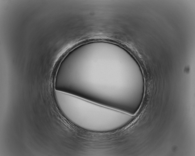 X0000096141167200801180845