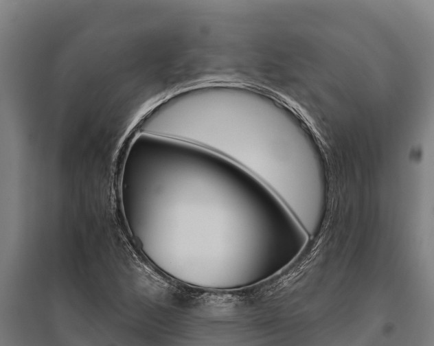 X0000096141168200801180845