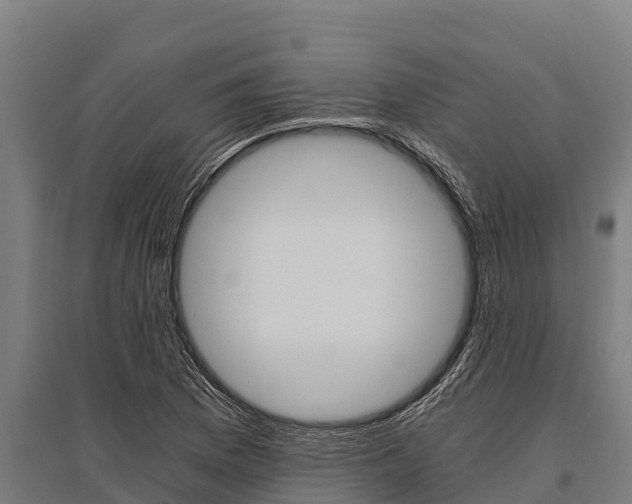 X0000096141169200801180845