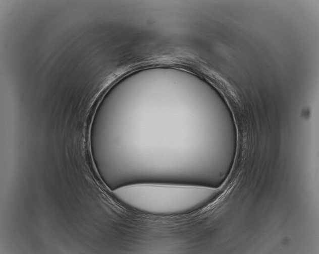 X0000096141170200801180845