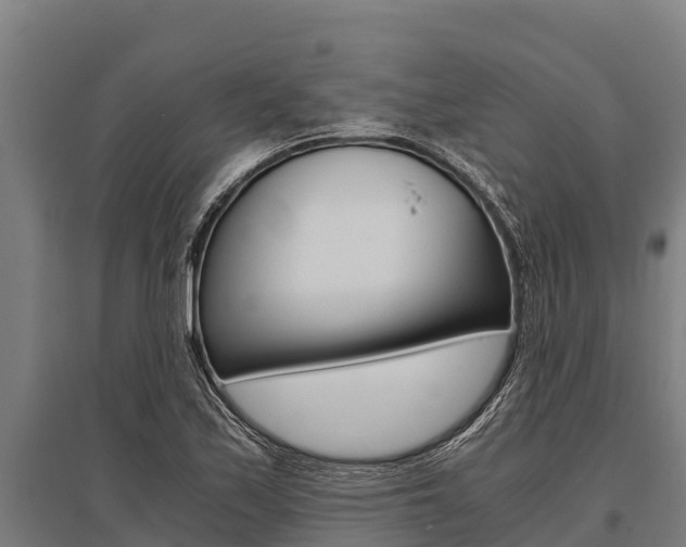 X0000096141171200801180845