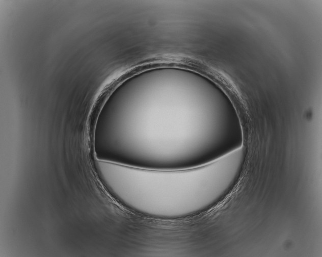 X0000096141172200801180845