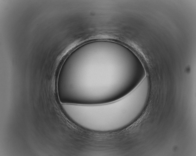 X0000096141173200801180845
