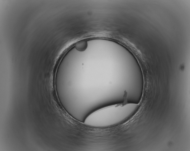 X0000096141174200801180845
