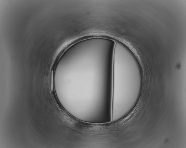 X0000096141175200801180845
