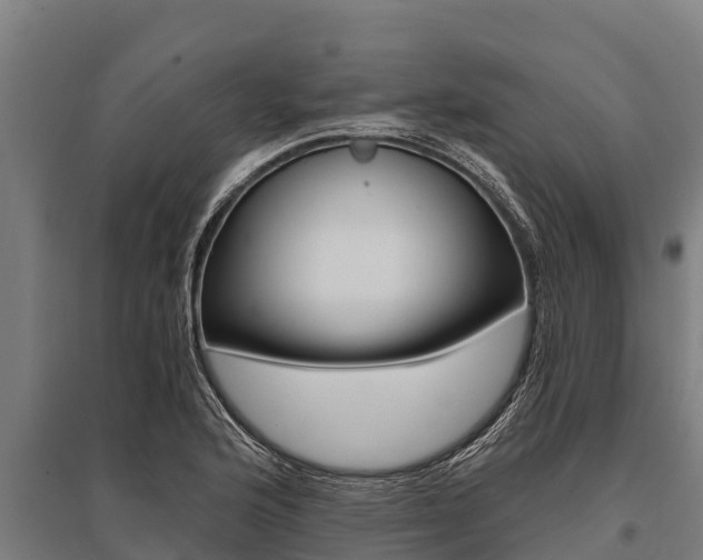 X0000096141176200801180845