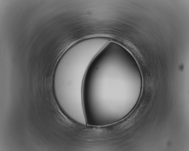 X0000096141177200801180845