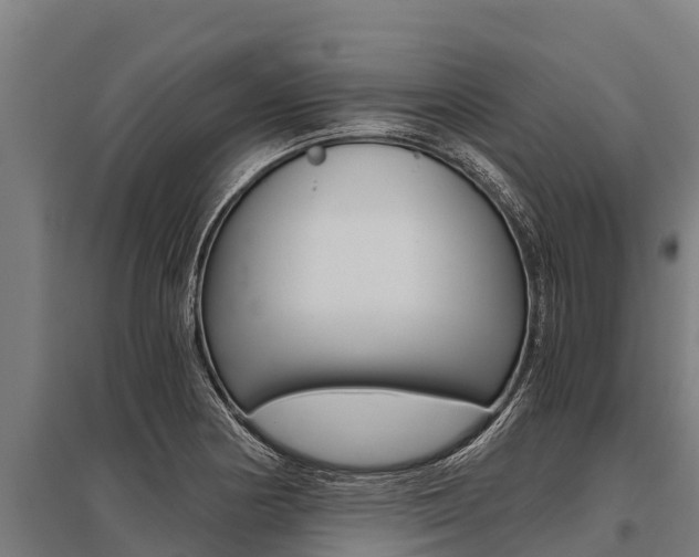 X0000096141178200801180845