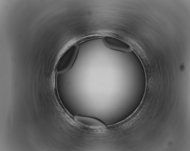 X0000096141180200801180845