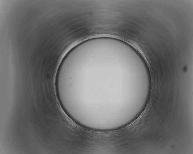 X0000096141181200801180845