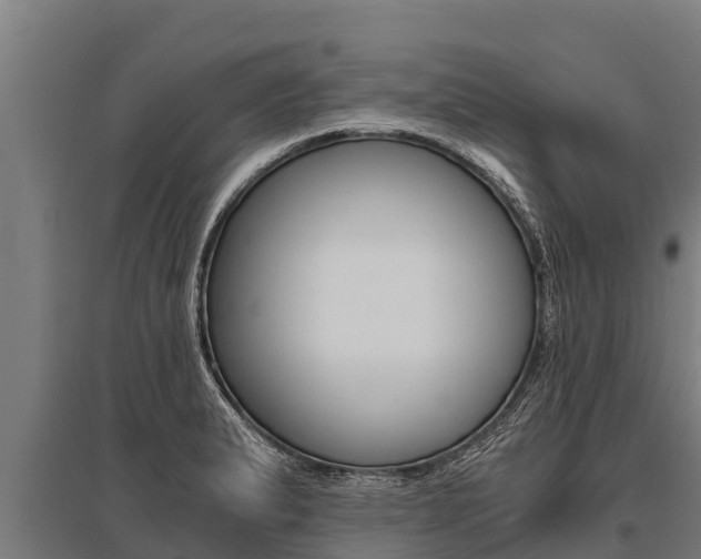X0000096141183200801180845
