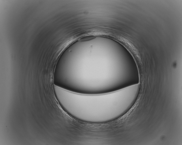 X0000096141185200801180845
