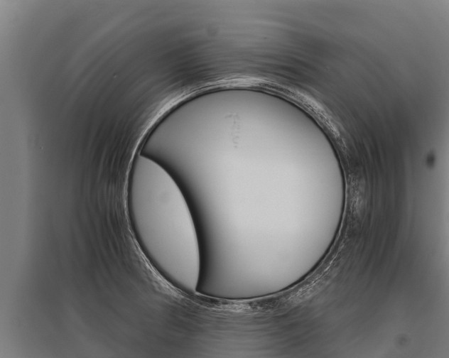 X0000096141186200801180845