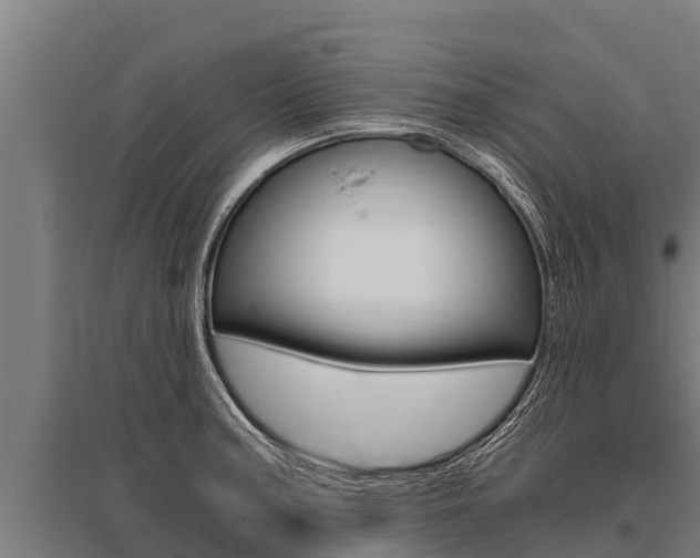 X0000096141187200801180845