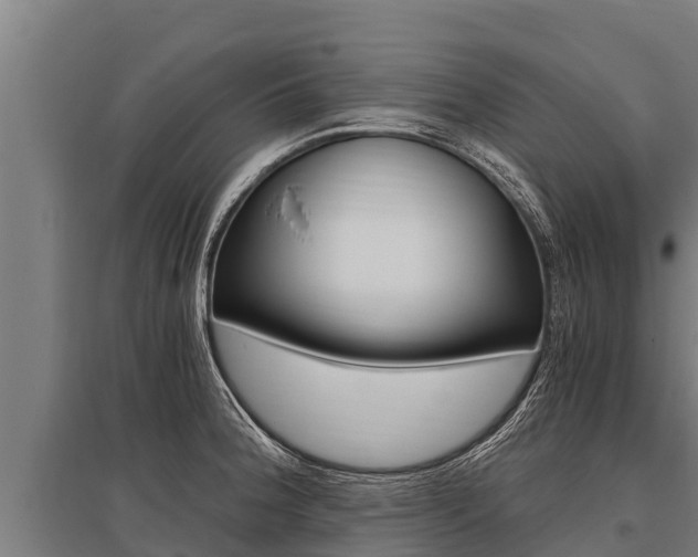 X0000096141188200801180845
