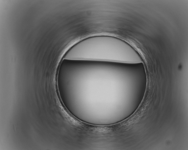 X0000096141189200801180845