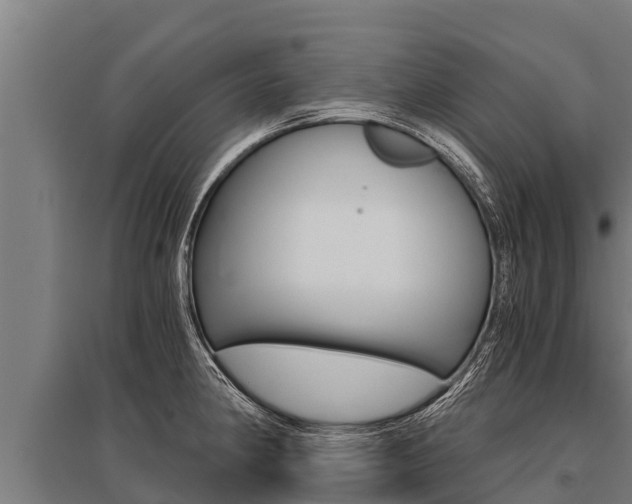 X0000096141190200801180845