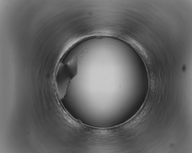 X0000096141192200801180845