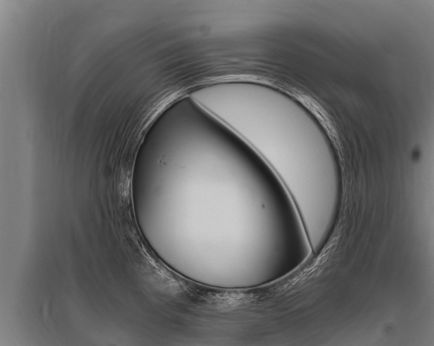 X0000096141193200801180845