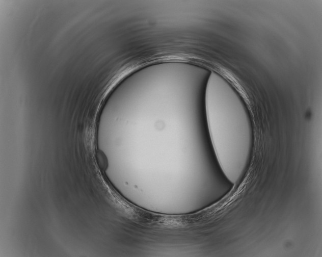X0000096141194200801180845
