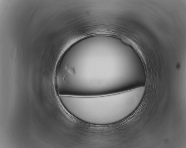 X0000096141195200801180845