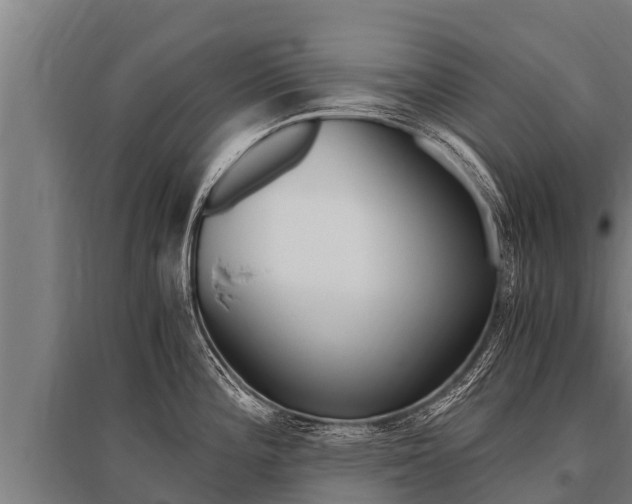 X0000096141196200801180845