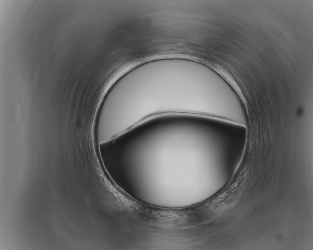 X0000096141197200801180845