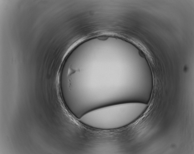 X0000096141198200801180845